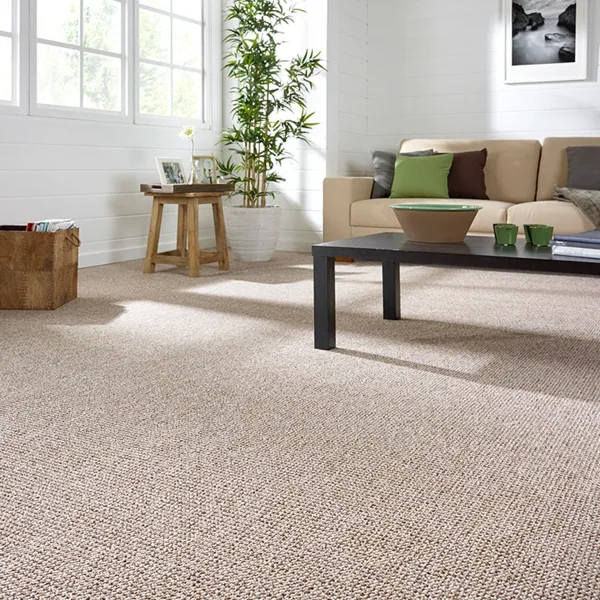 Bright living room with beige textured carpet flooring