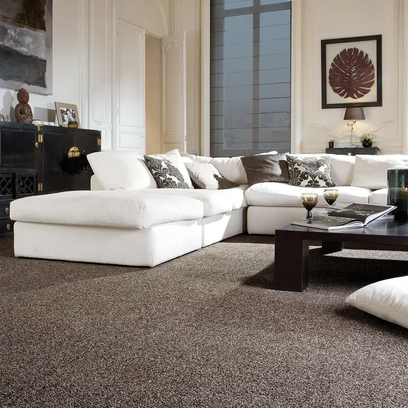 Dark brown plush carpet under a white sectional sofa.