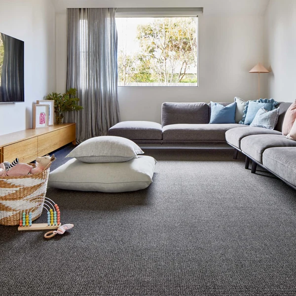 Modern living room with textured dark grey carpet